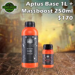 Aptus Base 1L + Massboost 250ml Pack