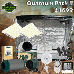 Quantum Pack II Returns!